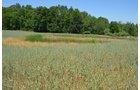 Property photo 104 - 21 Acre Modern Country Estate